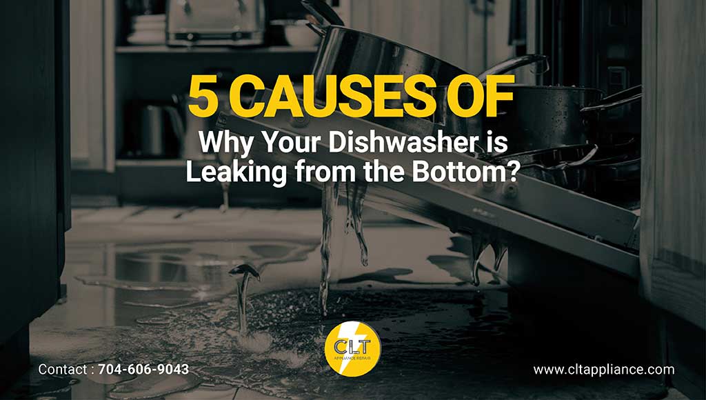 dishwasher cleaning 02