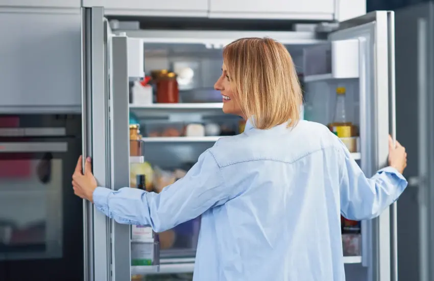 how to fix or replace a faulty refrigerator door seal ( 2 )