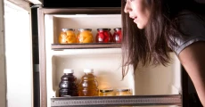 pro tips for freezer light repairs 1x