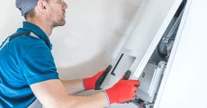 professional inspection requirements 1x