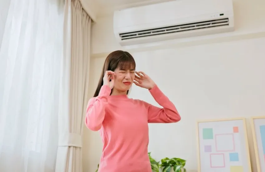 silence the noise 1x